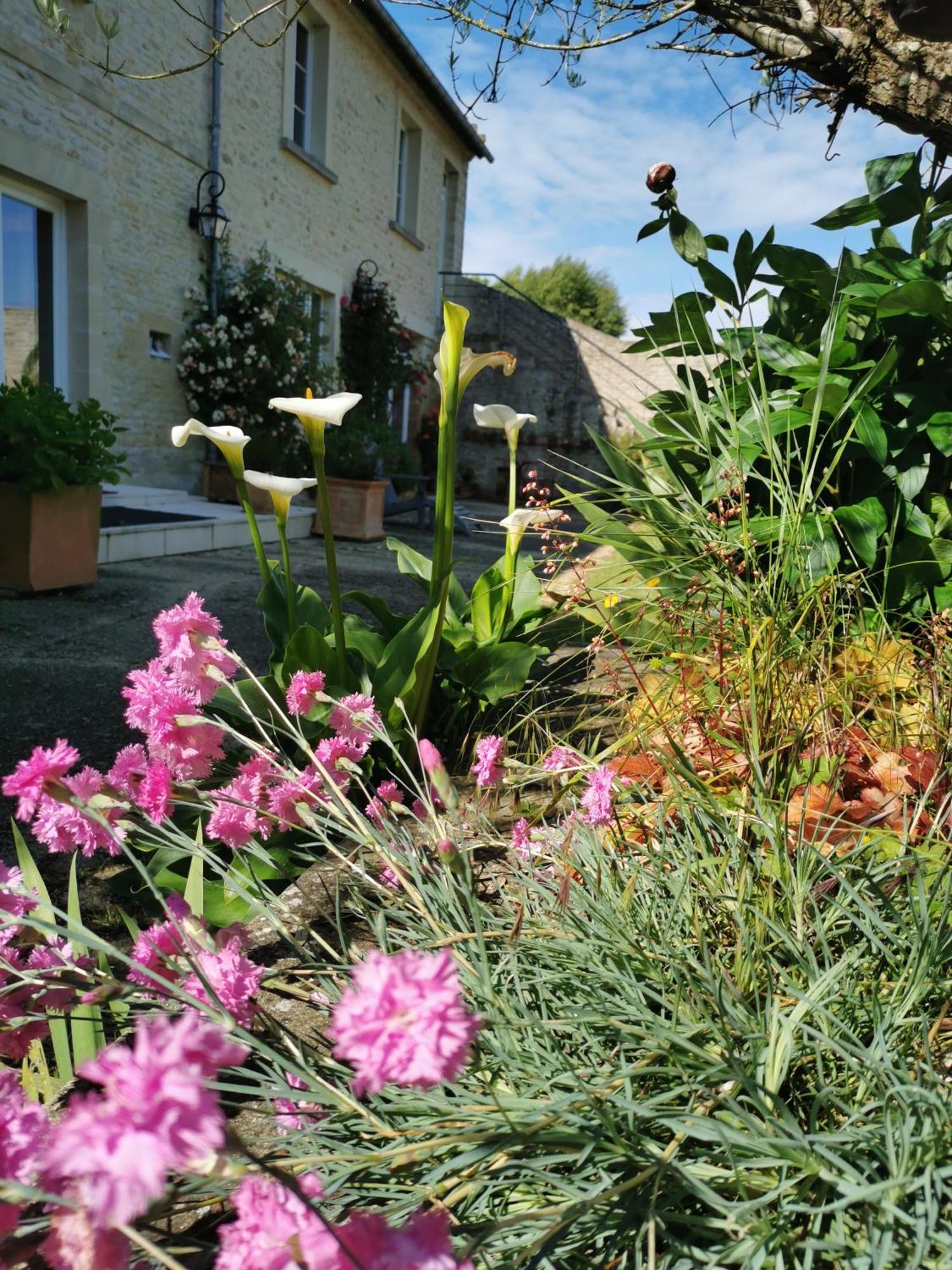 Chambre De L'Iris Sainte-Croix-sur-Mer Buitenkant foto
