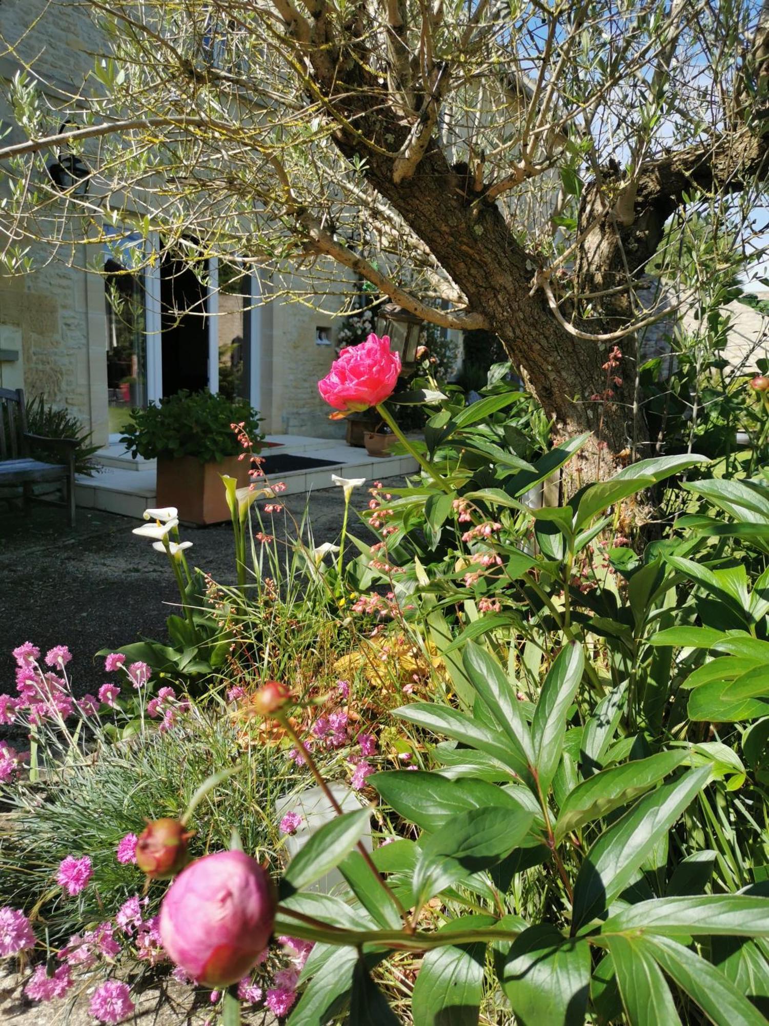Chambre De L'Iris Sainte-Croix-sur-Mer Buitenkant foto